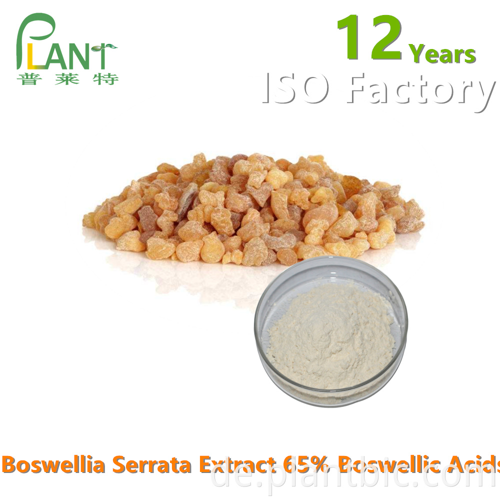 Boswellia Serrata Extract